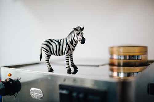 The all important coffee machine